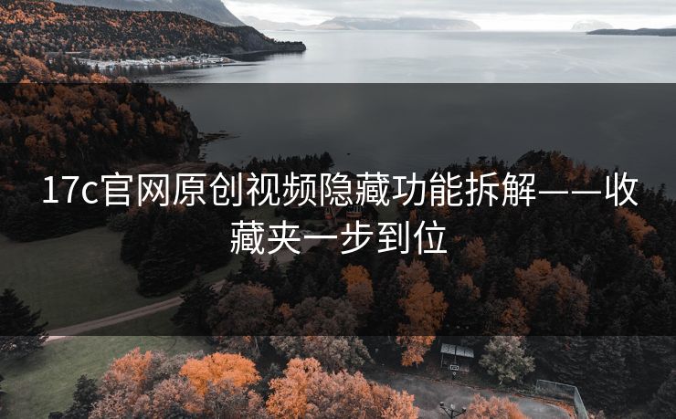 17c官网原创视频隐藏功能拆解——收藏夹一步到位