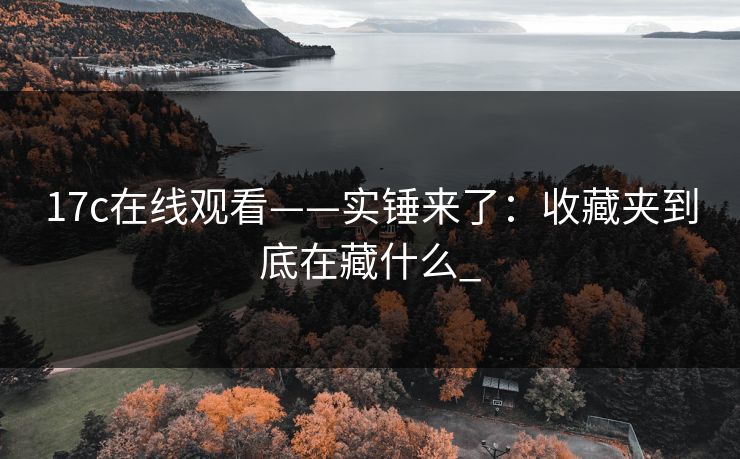 17c在线观看——实锤来了：收藏夹到底在藏什么_