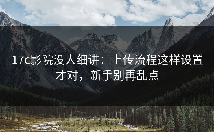 17c影院没人细讲：上传流程这样设置才对，新手别再乱点