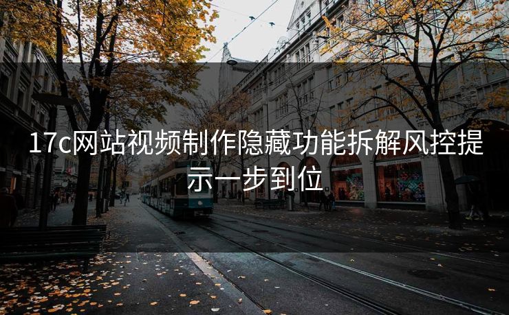 17c网站视频制作隐藏功能拆解风控提示一步到位