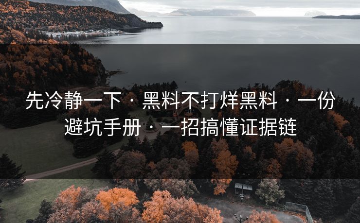 先冷静一下 · 黑料不打烊黑料 · 一份避坑手册 · 一招搞懂证据链