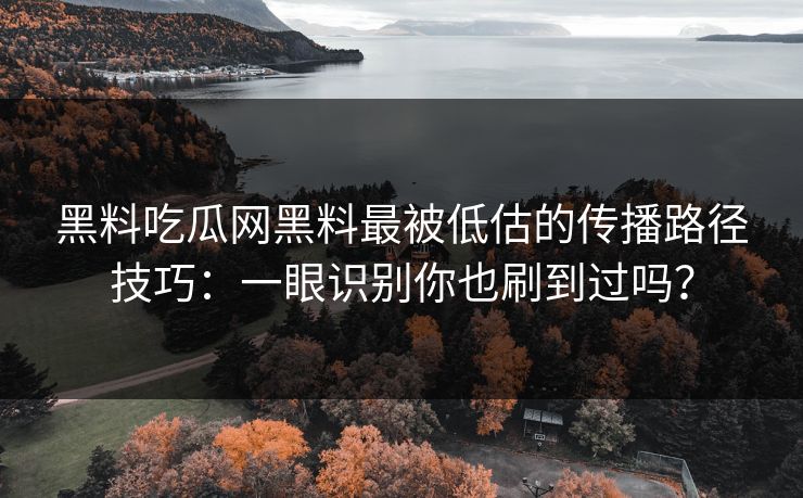 黑料吃瓜网黑料最被低估的传播路径技巧：一眼识别你也刷到过吗？